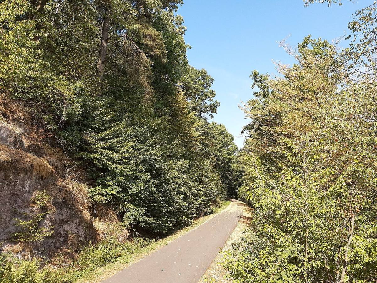 Der Vulkanradweg südlich von Lauterbach